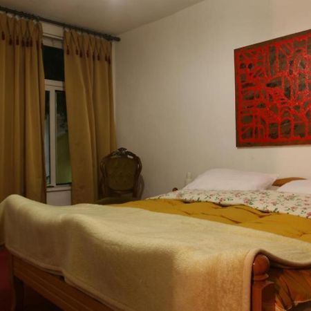 Guesthouse Pension Andrea Tirana Exterior photo